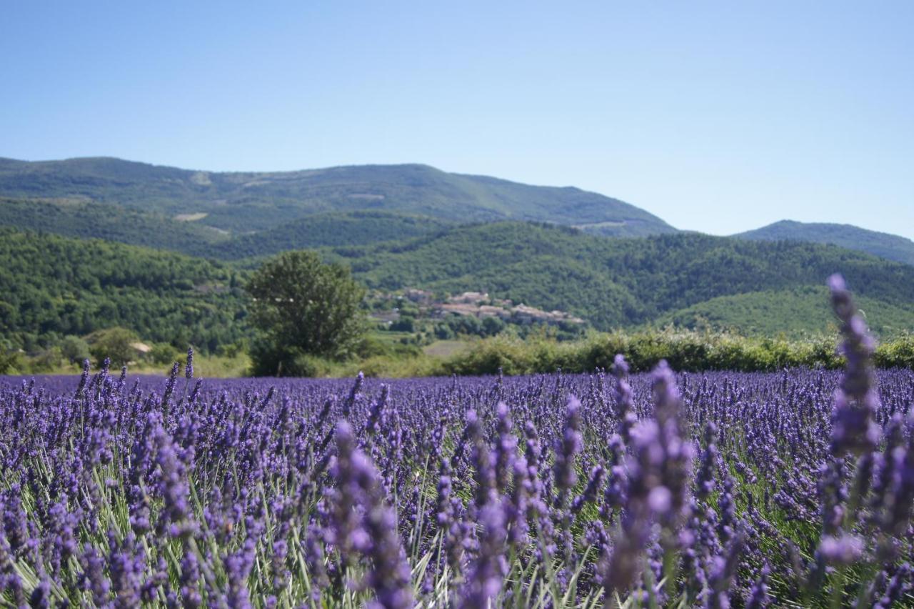La Claveliere Hotel Saint-Auban-sur-l'Ouveze ภายนอก รูปภาพ